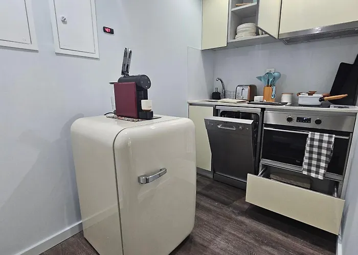 公寓 A Proa Do Moliceiro Canal - Gran Blue 阿威罗