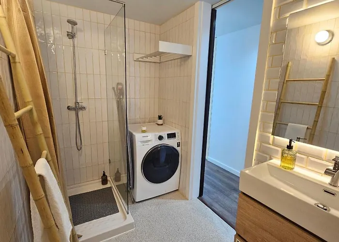 A Proa Do Moliceiro Canal - Gran Blue 公寓 阿威罗